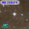HD 259134