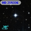 HD 258336