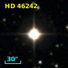 HD  46242