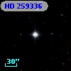HD 259336