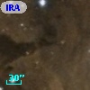 IRAS 06308+0452