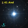 *  41 And