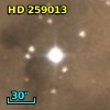 HD 259013
