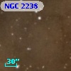 NGC  2238
