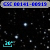 GSC 00141-00919