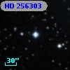 HD 256303