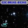 GSC 00141-01341