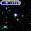 HD 256301