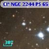 Cl* NGC 2244     PS      65