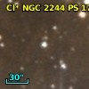 Cl* NGC 2244     PS     173
