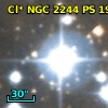 Cl* NGC 2244     PS     191