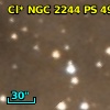 Cl* NGC 2244     PS     496