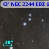 Cl* NGC 2244    CDZ     141