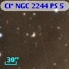 Cl* NGC 2244     PS       5