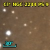 Cl* NGC 2244     PS       9