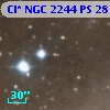 Cl* NGC 2244     PS      28