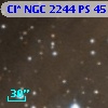 Cl* NGC 2244     PS      45