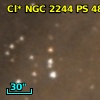 Cl* NGC 2244     PS      48