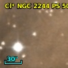 Cl* NGC 2244     PS      50