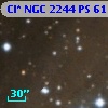 Cl* NGC 2244     PS      61