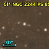 Cl* NGC 2244     PS      85