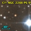 Cl* NGC 2244     PS      95