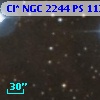 Cl* NGC 2244     PS     113