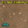 Cl* NGC 2244     PS     114