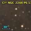 Cl* NGC 2244     PS     115