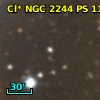 Cl* NGC 2244     PS     116