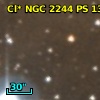 Cl* NGC 2244     PS     130