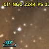 Cl* NGC 2244     PS     131