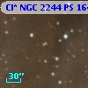Cl* NGC 2244     PS     164