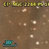 Cl* NGC 2244     PS     165