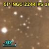 Cl* NGC 2244     PS     169