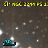 Cl* NGC 2244     PS     170