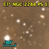 Cl* NGC 2244     PS     172