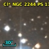 Cl* NGC 2244     PS     179