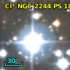 Cl* NGC 2244     PS     183