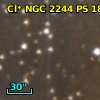 Cl* NGC 2244     PS     186