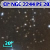 Cl* NGC 2244     PS     202