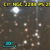 Cl* NGC 2244     PS     203