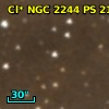 Cl* NGC 2244     PS     215