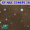 Cl* NGC 2244     PS     218