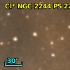 Cl* NGC 2244     PS     221