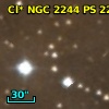Cl* NGC 2244     PS     223