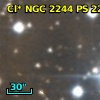 Cl* NGC 2244     PS     229