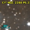 Cl* NGC 2244     PS     230