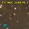Cl* NGC 2244     PS     237