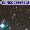 Cl* NGC 2244     PS     238